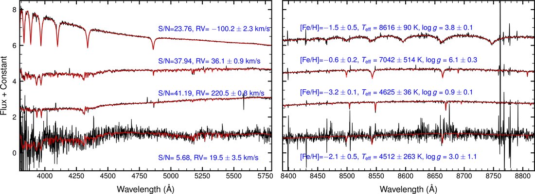 Example stellar spectra from the S5 survey with derived stellar parameters